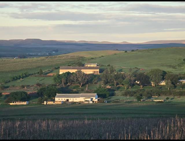 539HA FARM FOR SALE IN RIVERSDALE RURAL